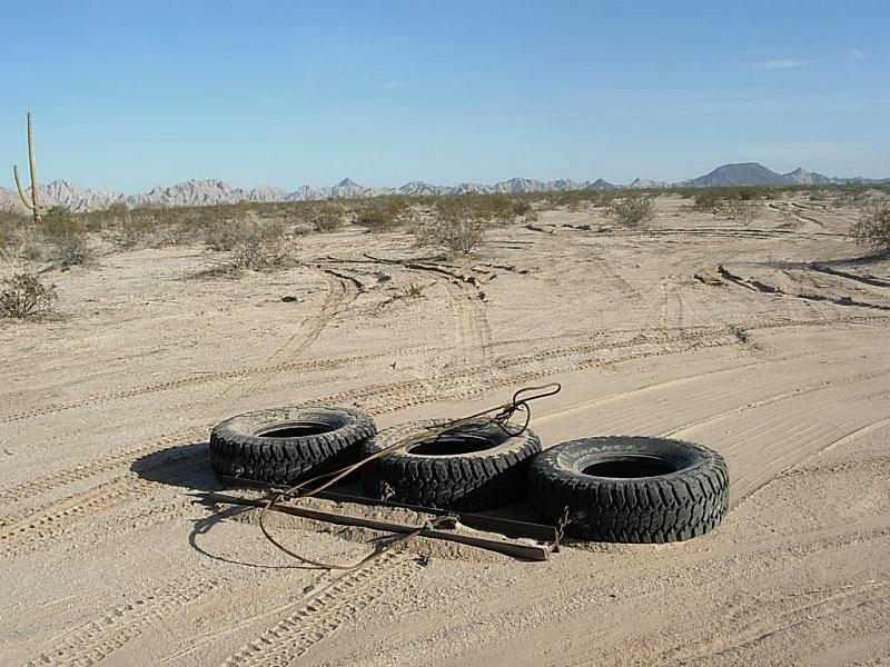Containment and Care in the Sonoran Desert