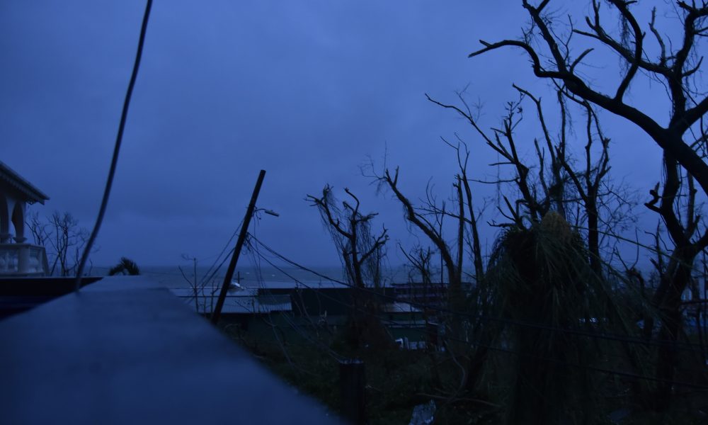 Disaster Capitalism Strikes Puerto Rico
