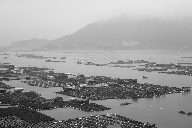 The World Is a Factory Farm