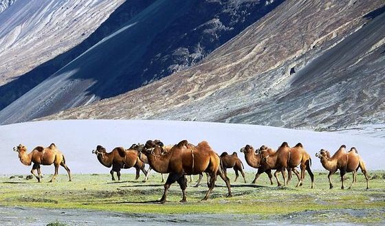 Changing Climates of History