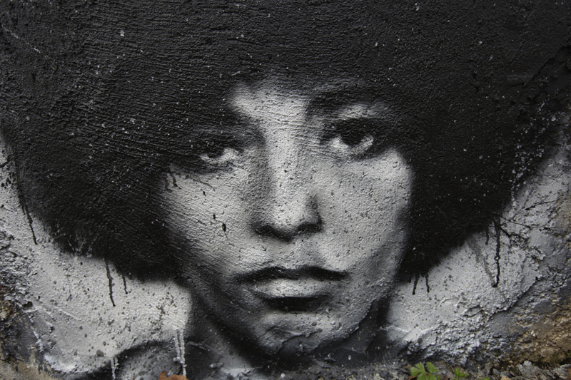 The Big Picture: Black Women Activists and the FBI