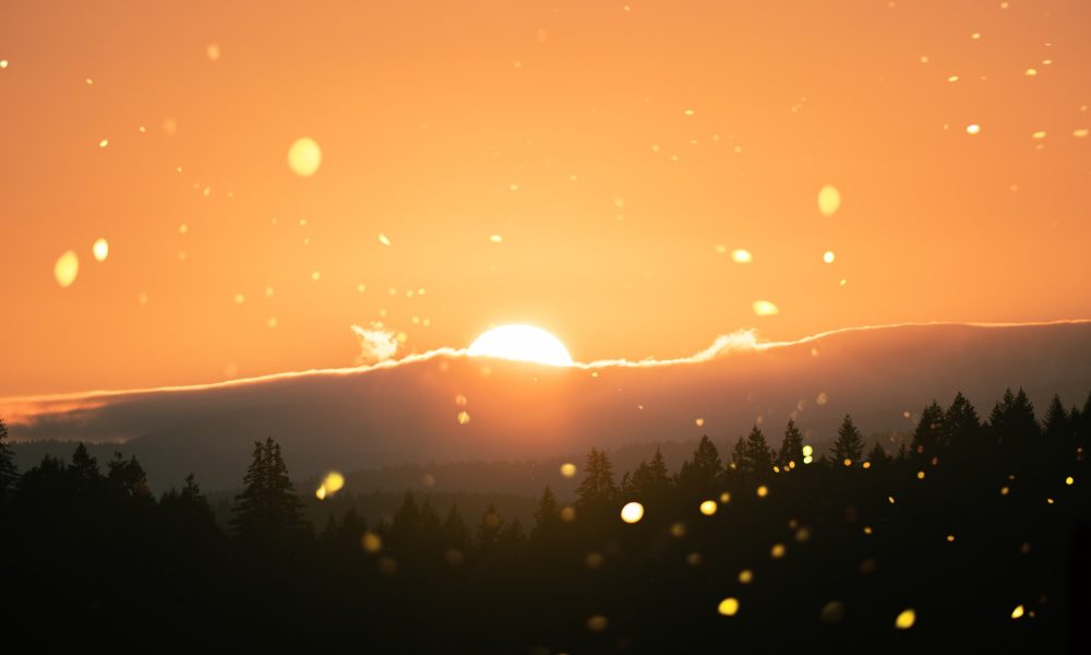 The Direction of Beginning