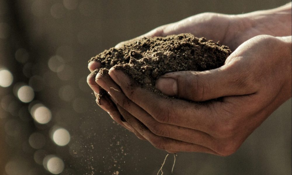 Stories of Soil, Soy, and Life Otherwise