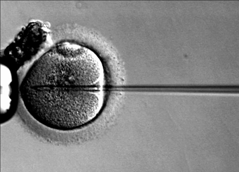 “Test-Tube Babies” @40
