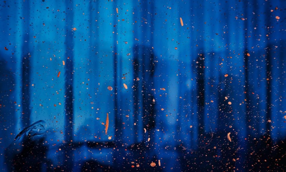 Do the Humanities Need Experts or Skeptics?