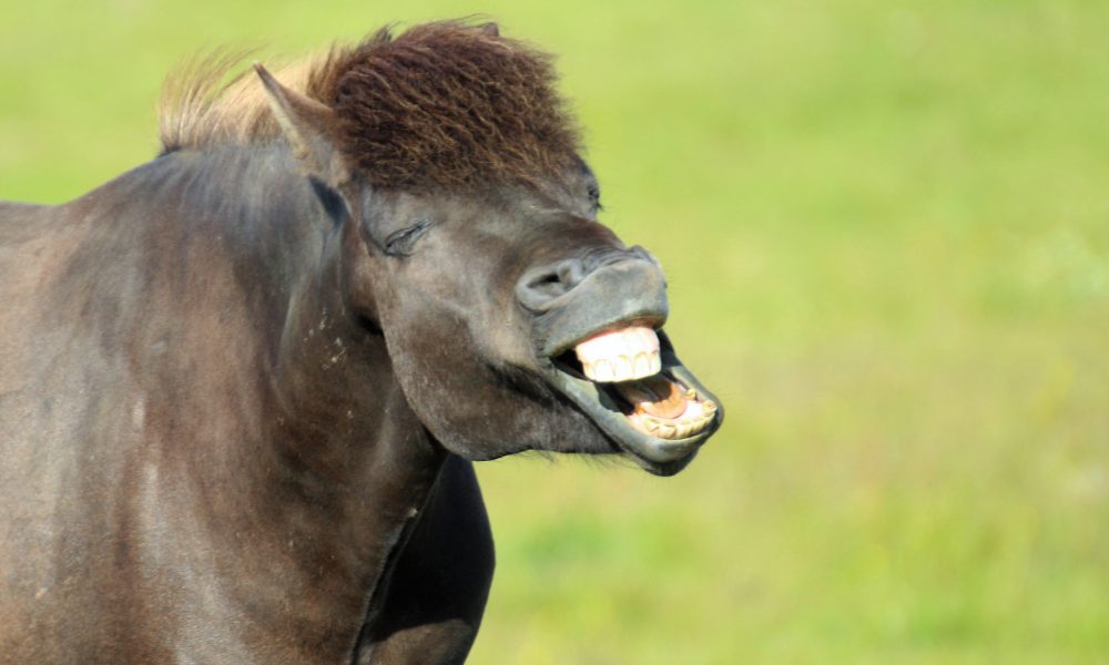 Should Environmentalists Learn to Take a Joke?