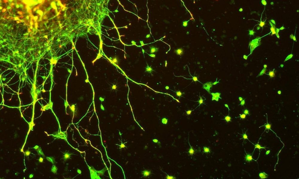 “Soulful, Perhaps Even Magical” Science