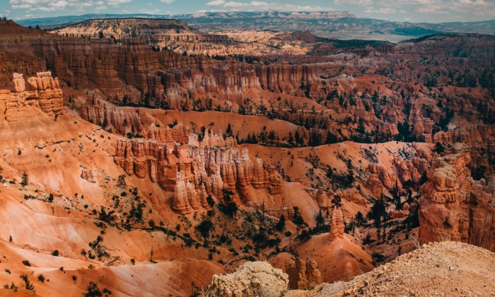 Science Turned Upside Down: Carolyn Merchant’s Vision of Nature, 40 Years Later
