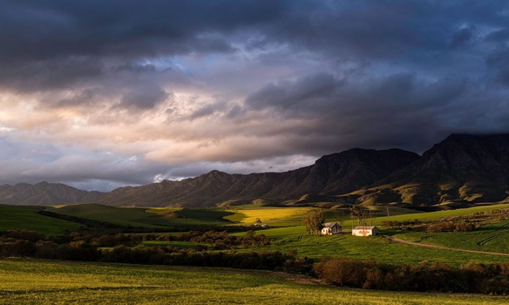 The Triumph of Afrikaans Fiction