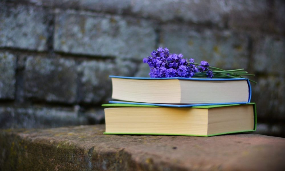 Can Novels Make Amends?