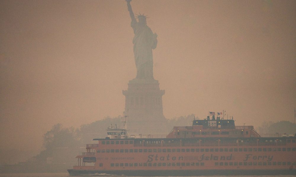 How to Embrace a Wildfire: A Path Out of the Smoke