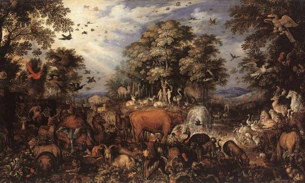 On the Origin of Extinction