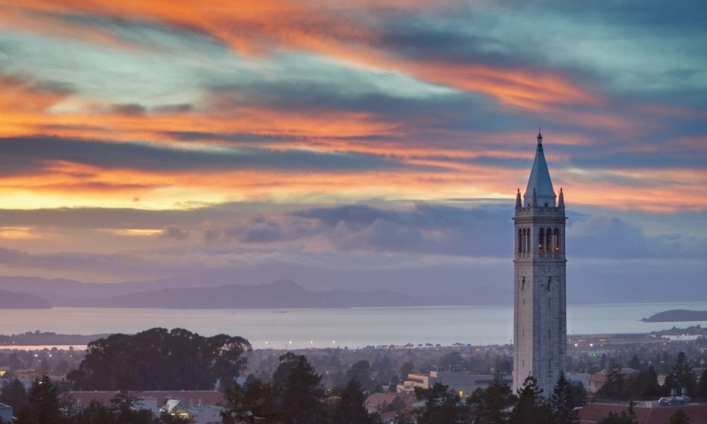 Academia Trained You—but the World Needs You