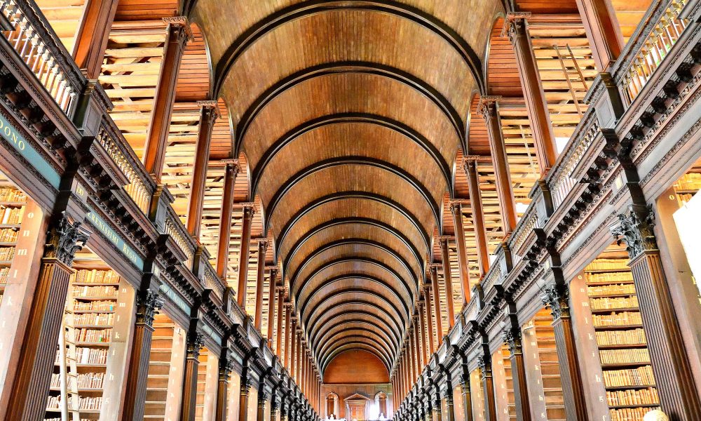 This Is Your Brain on Books