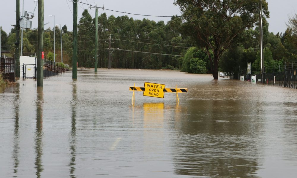 After the Deluge: What Future for Climate Fiction?