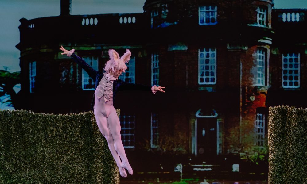 Saboteurs in the Modern Academy